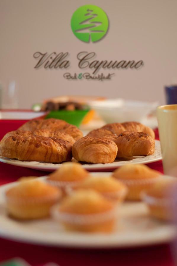 Villa Capuano B&B Camigliatello Silano Exteriér fotografie